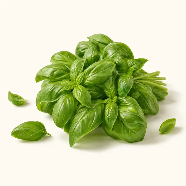 Basil, raw