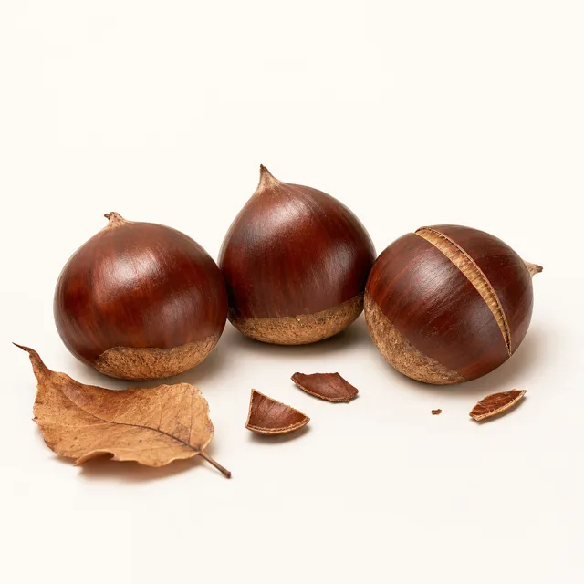 Chestnut, raw