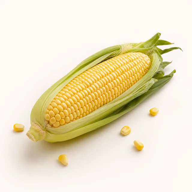 Sweet corn, raw