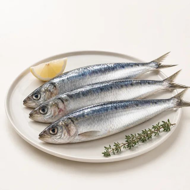 Sardina, cruda