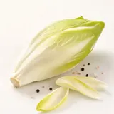 Sugar loaf chicory, raw