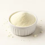 Lait entier en poudre