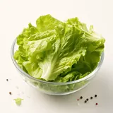 Romaine lettuce (cos lettuce)
