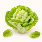 Butterhead lettuce, raw