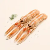 Norway lobster, raw