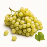 Grape, green, fresh