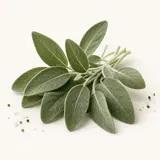 Sage, raw